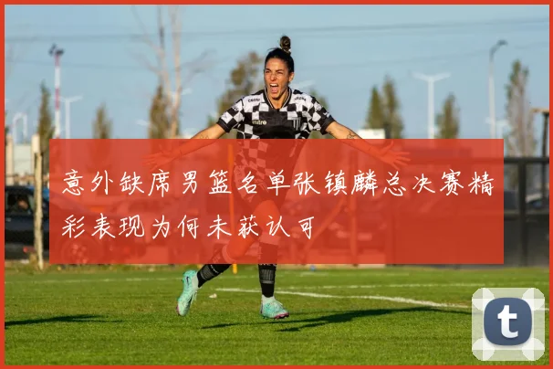 意外缺席男篮名单张镇麟总决赛精彩表现为何未获认可