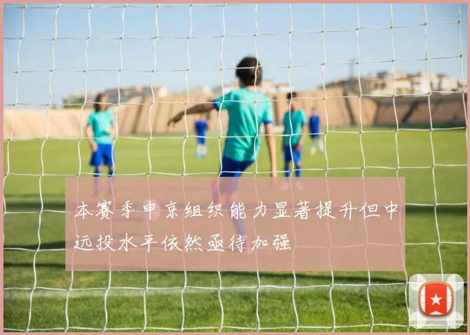 本赛季申京组织能力显著提升但中远投水平依然亟待加强