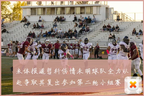米体报道哲科伤情未明球队全力以赴争取其复出参加第二轮小组赛